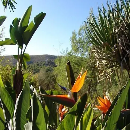 Kleine Mit Gemeinschaftspool By Interhome