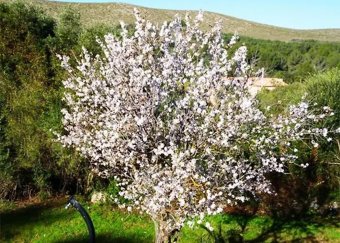 Apartment Kleine Mit Gemeinschaftspool By Interhome *